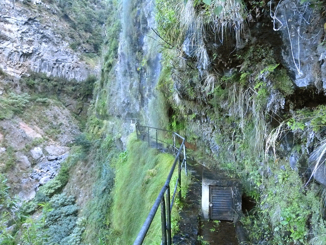 Levada do Curral e Castelejo — Foto 64