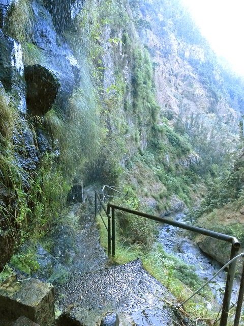 Levada do Curral e Castelejo — Foto 63
