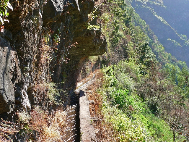 Levada do Curral e Castelejo — Foto 4