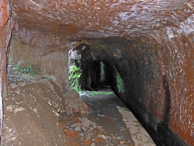 Levada do Curral e Castelejo — Foto 60
