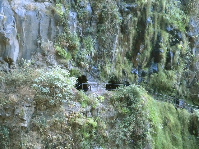 Levada do Curral e Castelejo — Foto 59