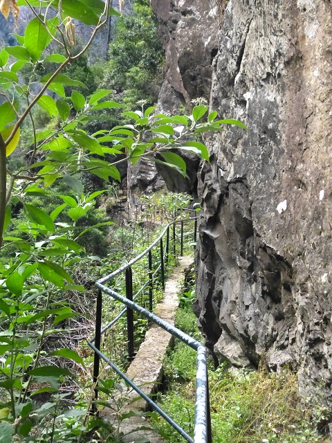 Levada do Curral e Castelejo — Foto 56