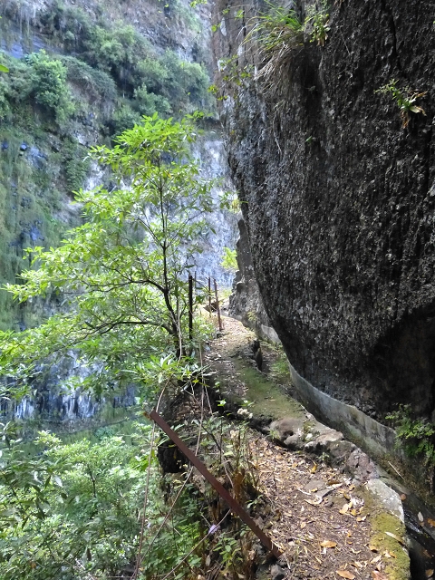 Levada do Curral e Castelejo — Foto 55