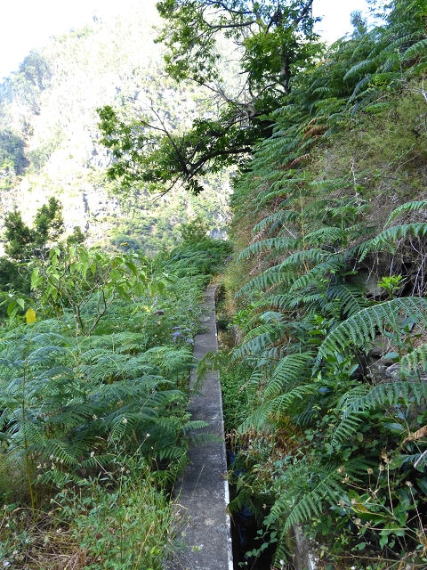 Levada do Curral e Castelejo — Foto 54