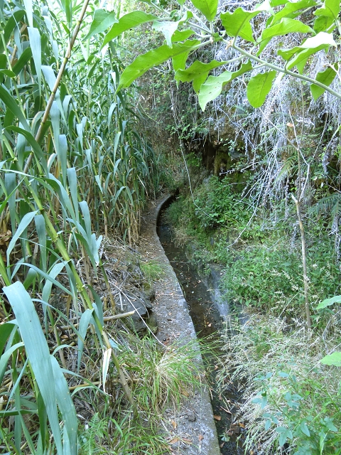 Levada do Curral e Castelejo — Foto 52