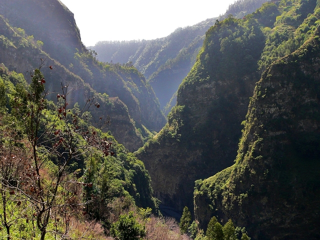 Levada do Curral e Castelejo — Foto 5
