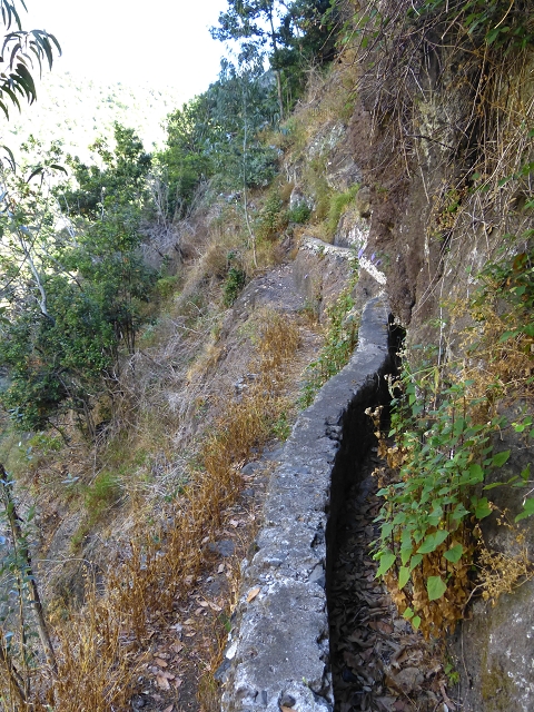 Levada do Curral e Castelejo — Foto 50