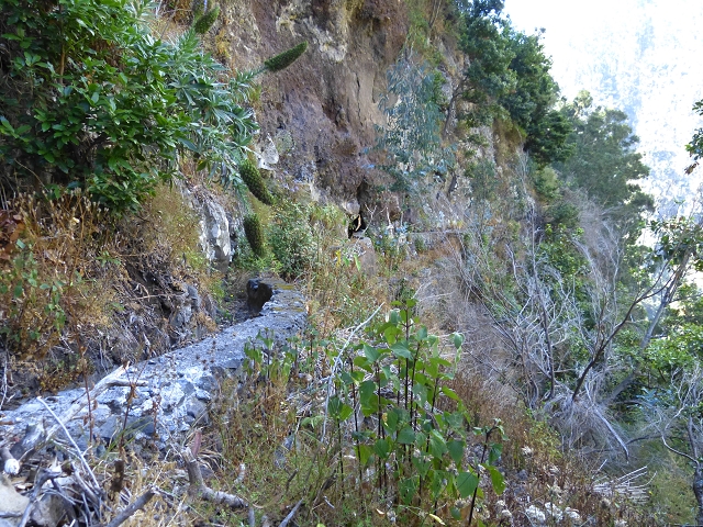 Levada do Curral e Castelejo — Foto 51