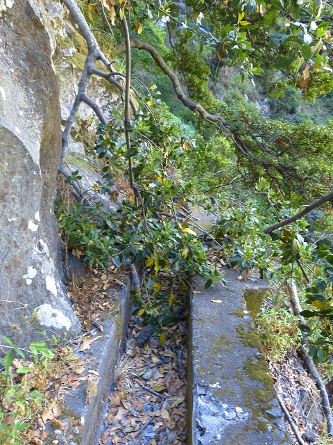 Levada do Curral e Castelejo — Foto 46