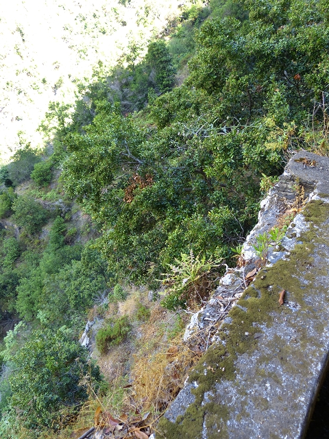 Levada do Curral e Castelejo — Foto 47