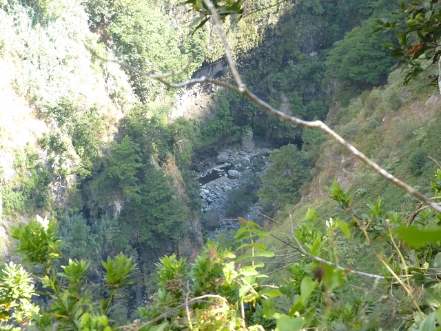 Levada do Curral e Castelejo — Foto 48