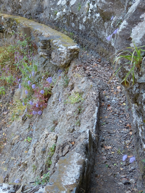 Levada do Curral e Castelejo — Foto 42