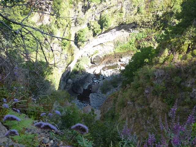 Levada do Curral e Castelejo — Foto 43