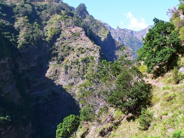 Levada do Curral e Castelejo — Foto 6