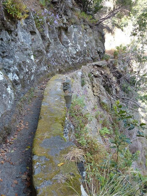 Levada do Curral e Castelejo — Foto 44