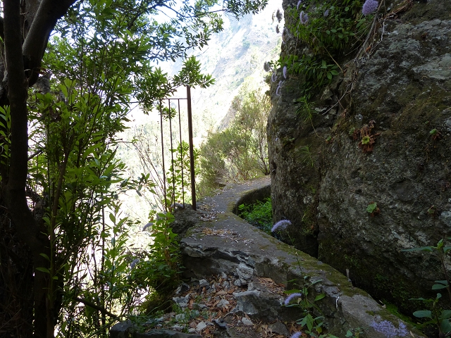 Levada do Curral e Castelejo — Foto 39
