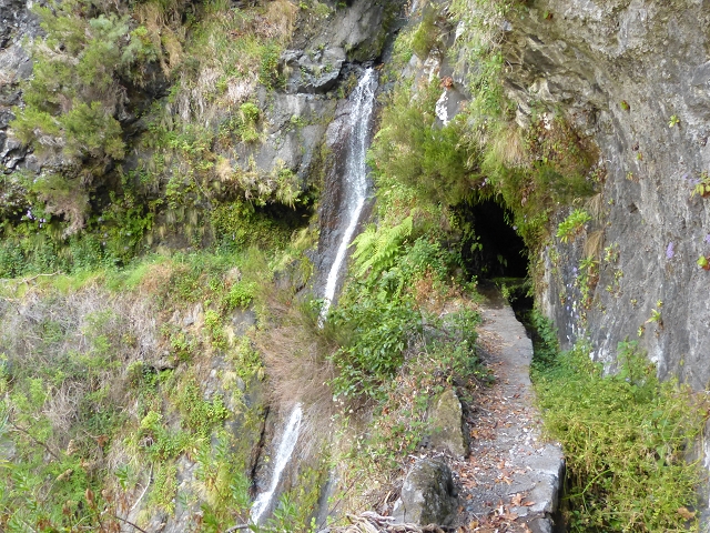 Levada do Curral e Castelejo — Foto 36