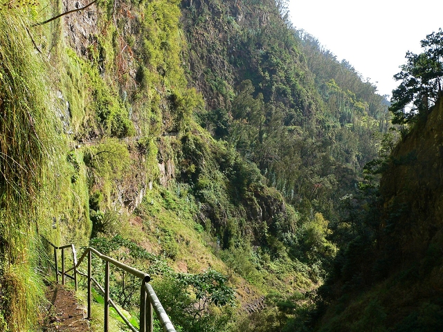 Levada do Curral e Castelejo — Foto 11