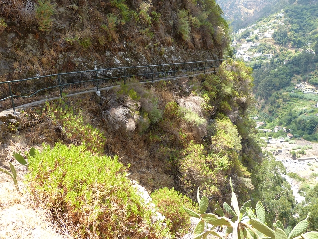 Levada do Curral e Castelejo — Foto 32
