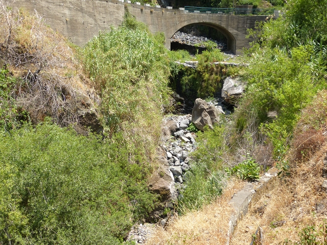 Levada do Curral e Castelejo — Foto 25