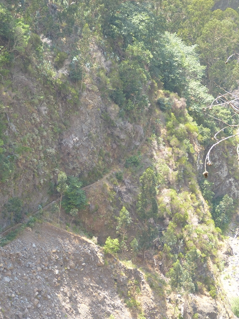 Levada do Curral e Castelejo — Foto 26