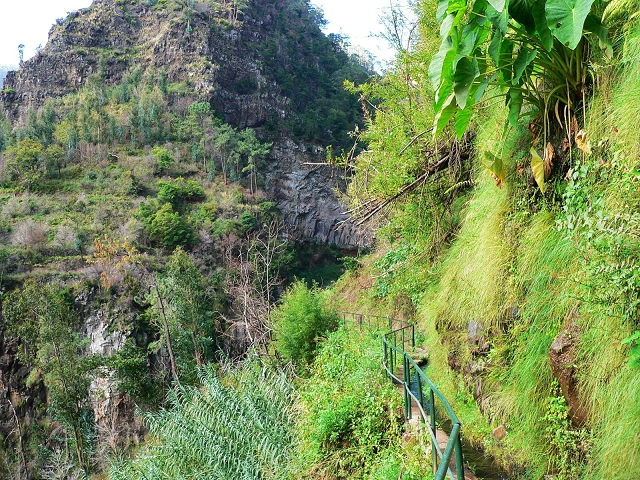 Levada do Curral e Castelejo — Foto 13