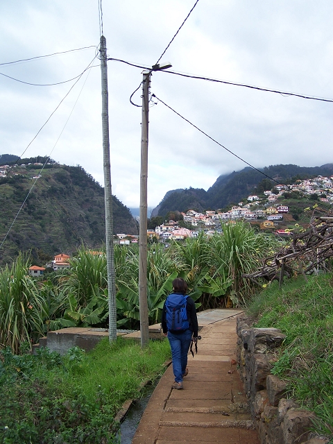 Levada do Curral e Castelejo — Foto 88