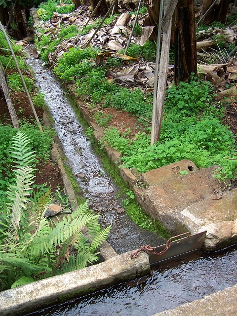 Levada do Curral e Castelejo — Foto 90