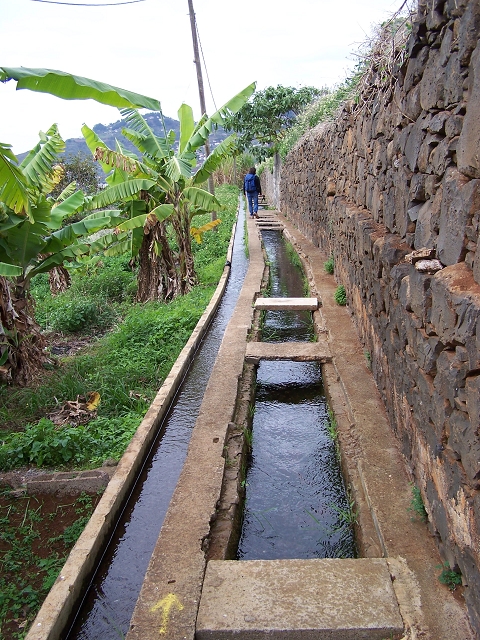 Levada do Curral e Castelejo — Foto 91