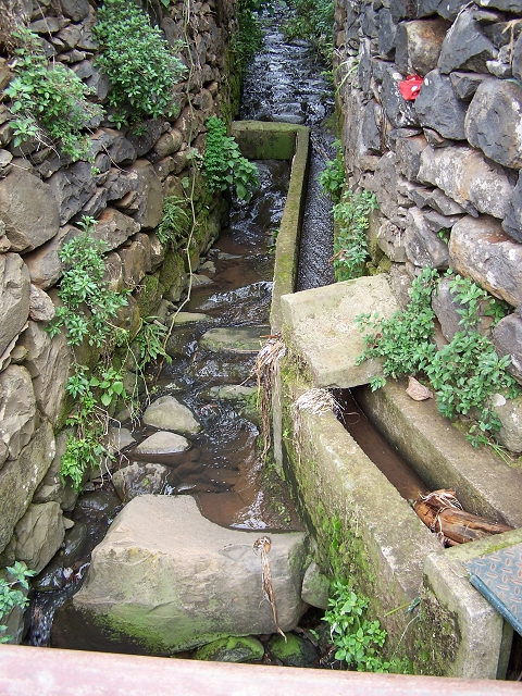 Levada do Curral e Castelejo — Foto 94