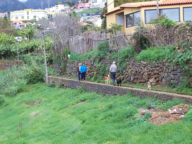 Levada do Curral e Castelejo — Foto 95