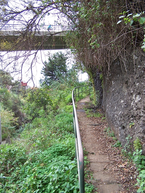 Levada do Curral e Castelejo — Foto 81