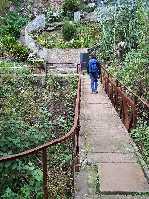 Levada do Curral e Castelejo — Foto 82