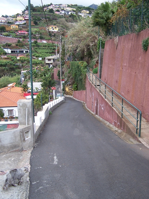 Levada do Curral e Castelejo — Foto 86