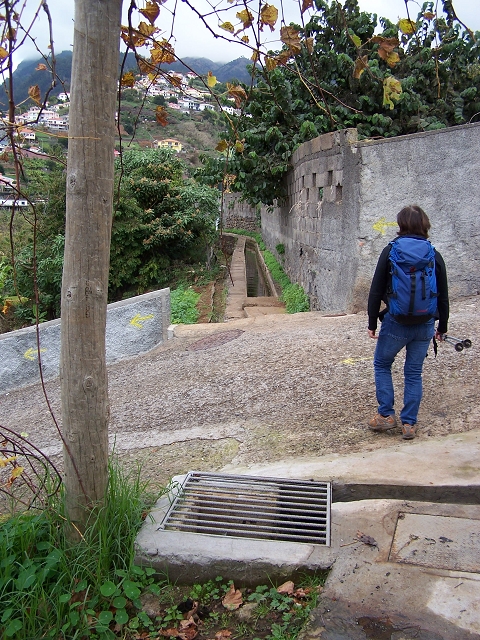 Levada do Curral e Castelejo — Foto 87