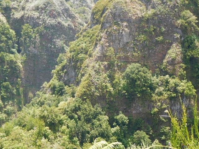 Levada dos Accionistas — photo 10