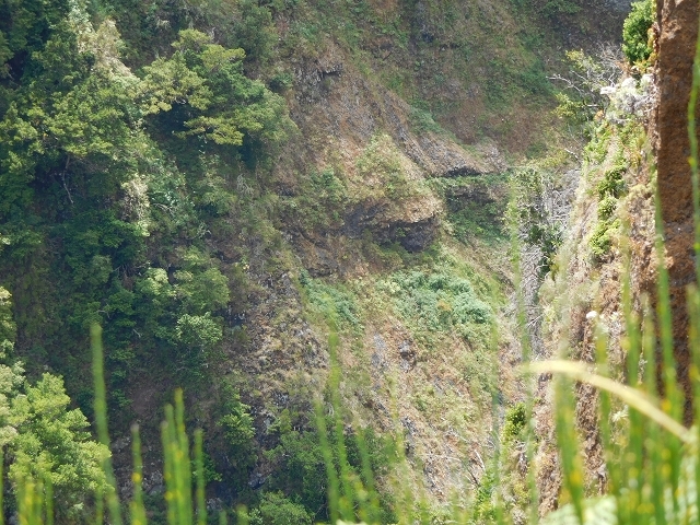 Levada dos Accionistas — photo 11