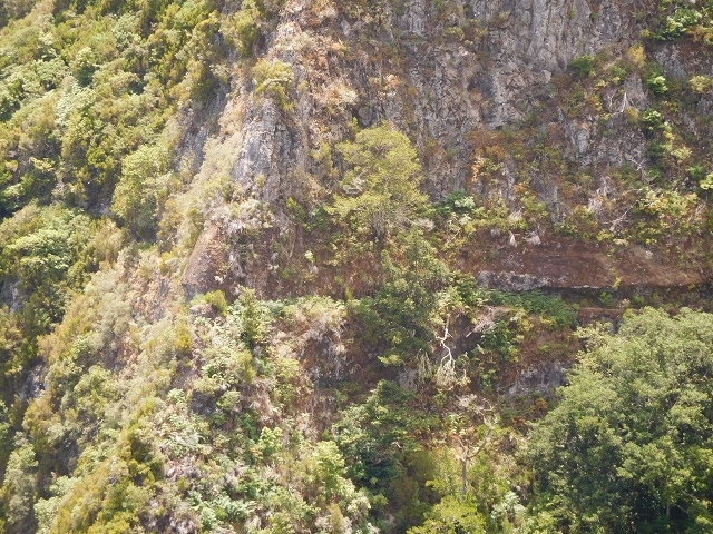 Levada dos Accionistas — photo 12