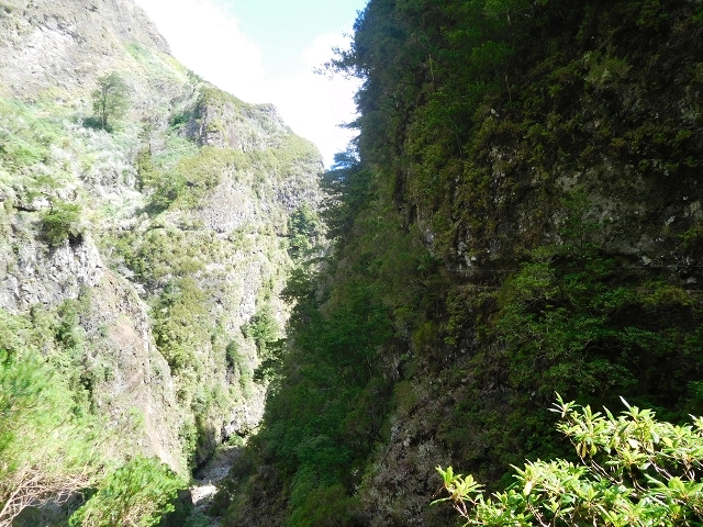 Levada dos Accionistas — photo 13