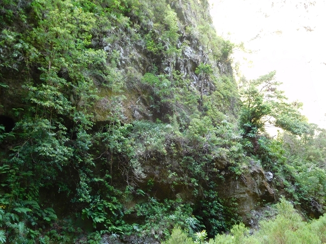 Levada dos Accionistas — photo 15