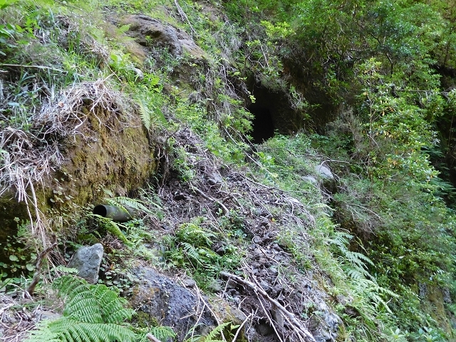 Levada dos Accionistas — photo 18