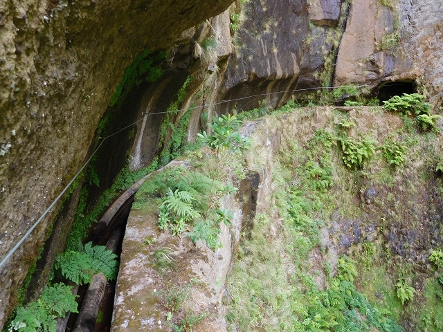 Levada do Juncal — photo 8