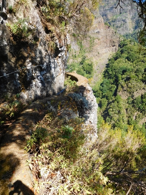 Levada do Juncal — photo 11