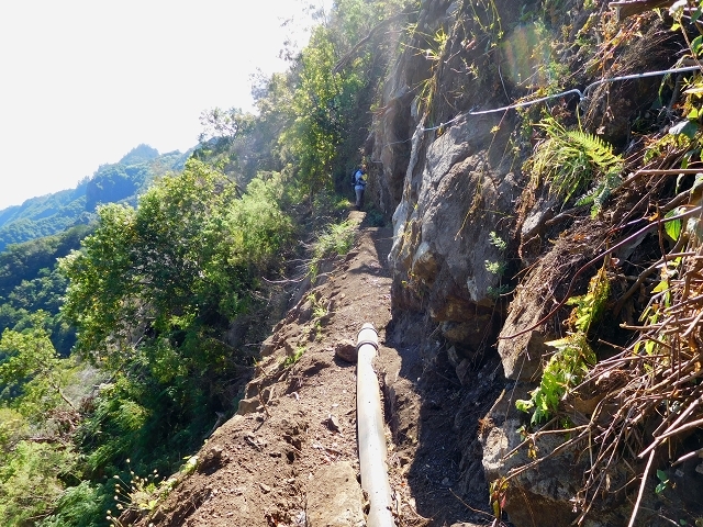 Levada do Juncal — photo 12