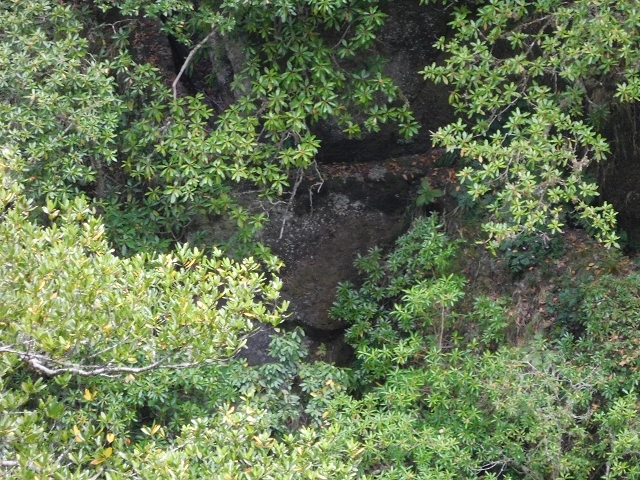Levada dos Accionistas — photo 3