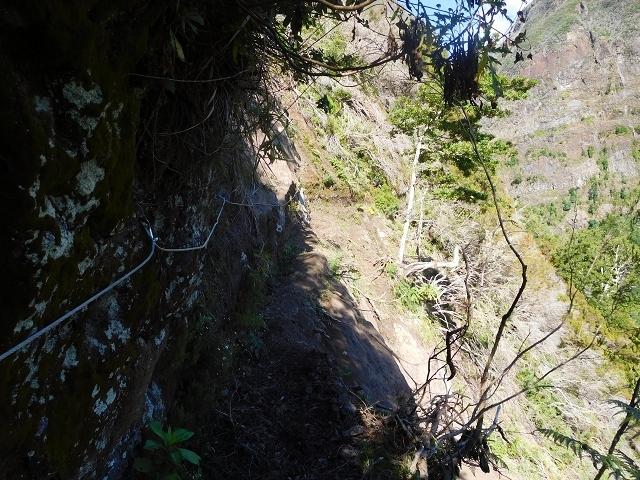 Levada do Juncal — photo 13