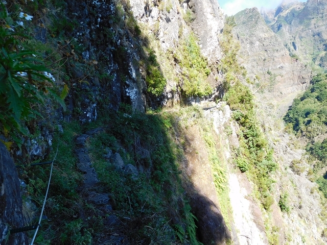 Levada do Juncal — photo 15