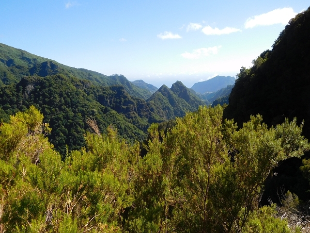 Levada do Juncal — photo 16