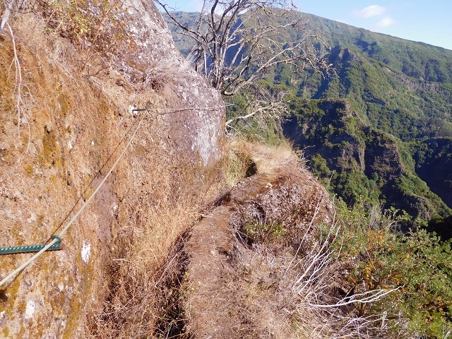 Levada do Juncal — photo 17