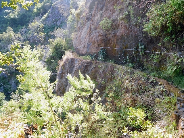 Levada do Juncal — photo 18